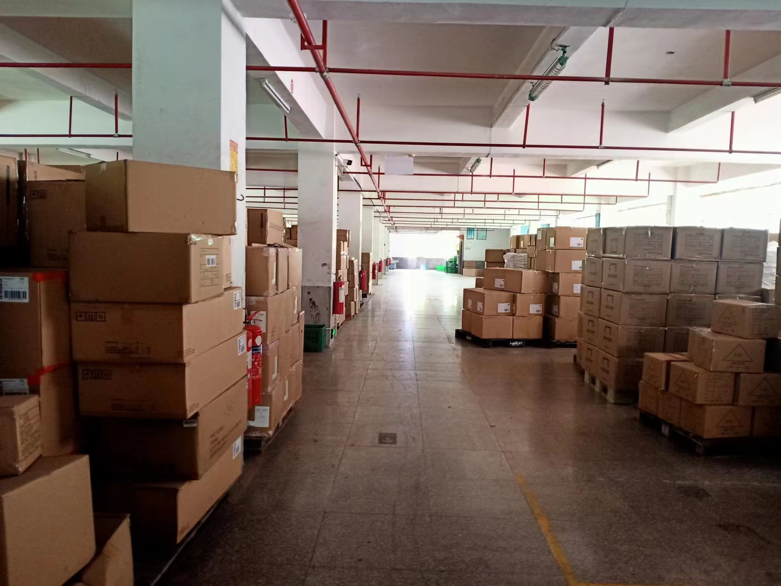 Fuyu Footwear Streamlined Global Supply Chain